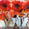 orange flinders poppies